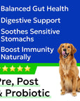 Pre, Pro & Postbiotic - Buy on Amazon