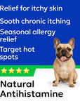 Allergy Aid for Dogs