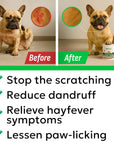 Allergy Aid for Dogs