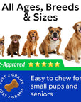Pre, Pro & Postbiotic - Buy on Amazon