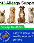 Allergy Aid for Dogs