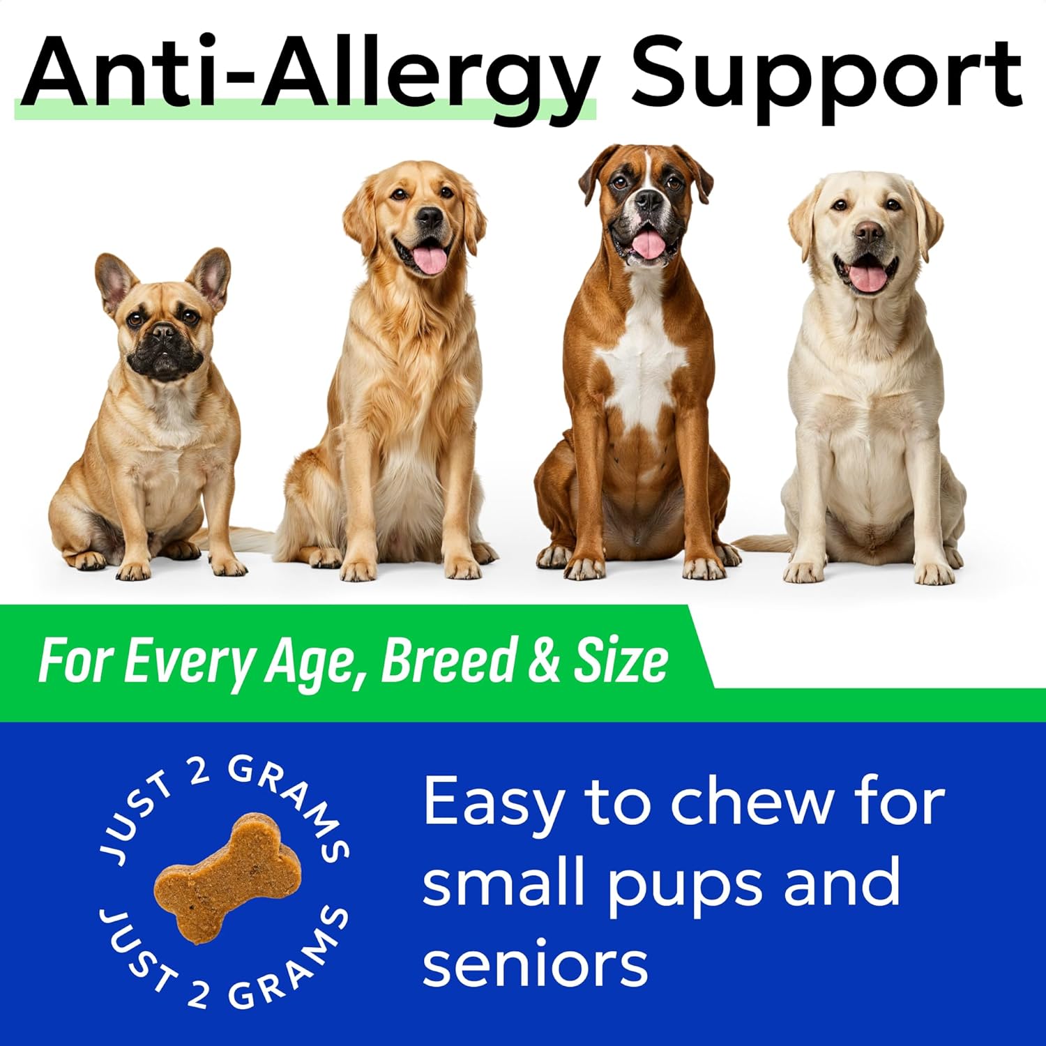 Allergy Support for Dogs – BarkSparkUk - Main Image